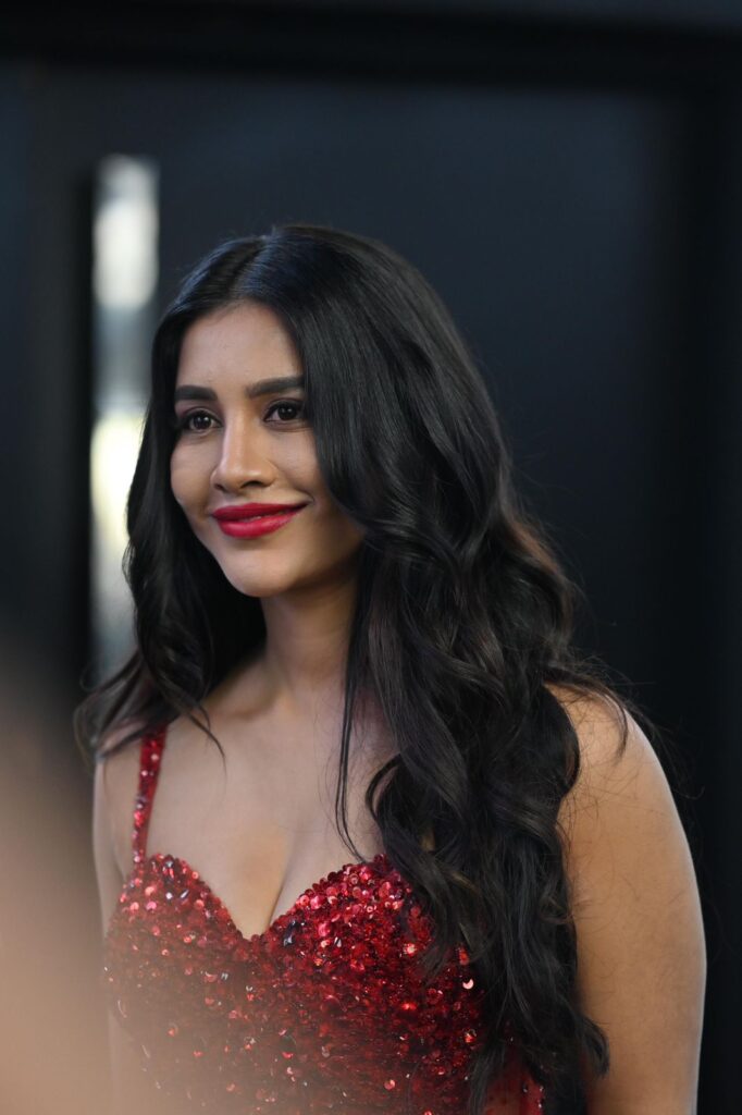 నభా నటేష్